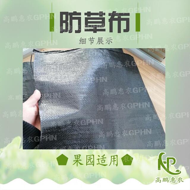 柑橘防草布批發(fā)