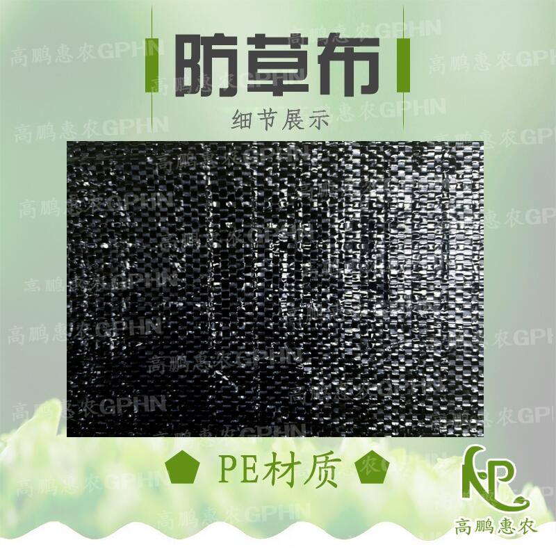 果苗防草布使用效果好