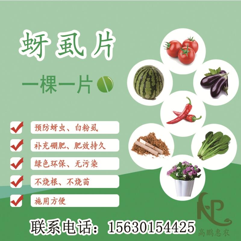 2000片/瓶防治蔬菜薊馬移栽片批發(fā)價(jià)格