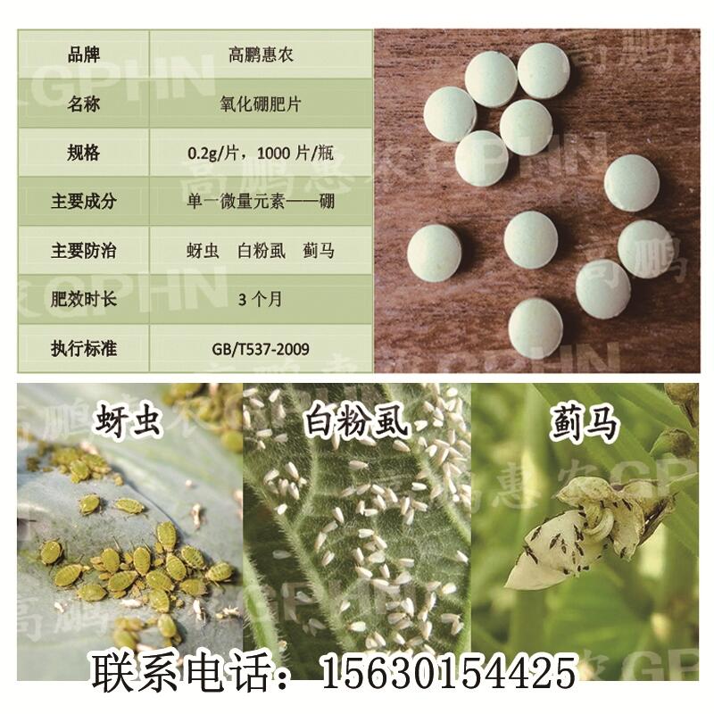 1000片/瓶防治豆角薊馬氧化硼肥片效果好