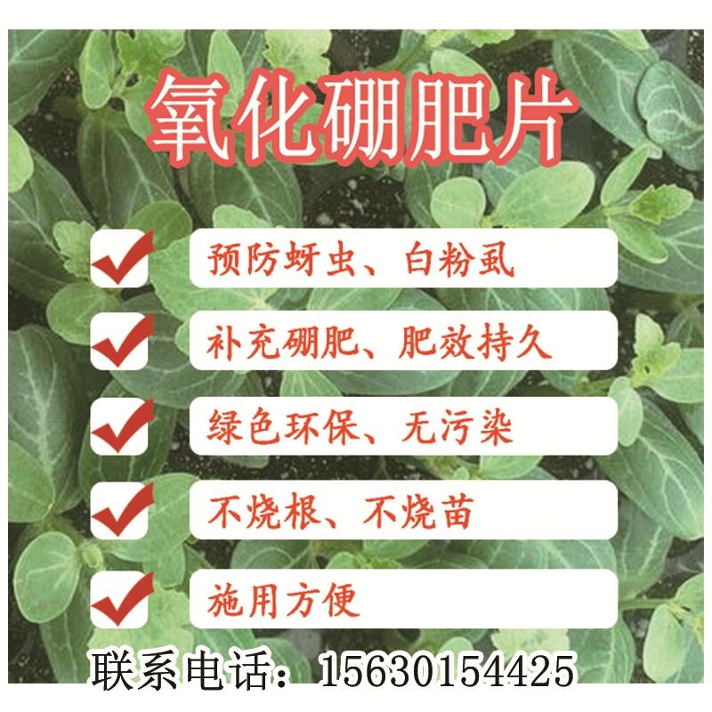 1000片/瓶防治番茄蚜蟲移栽片廠家