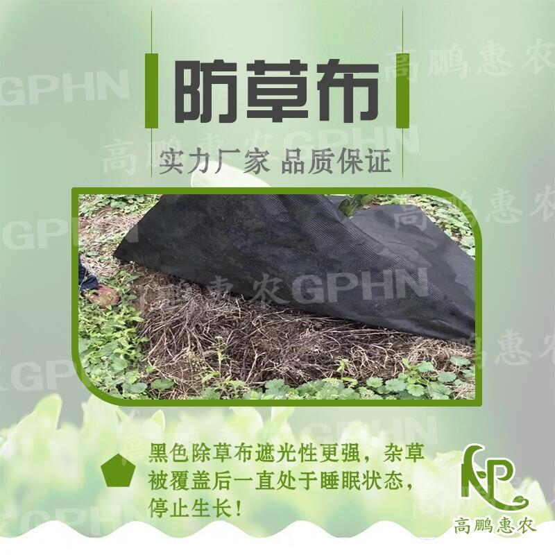 大棚除草布使用效果好