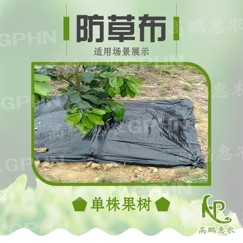 櫻桃園防草地布使用效果好