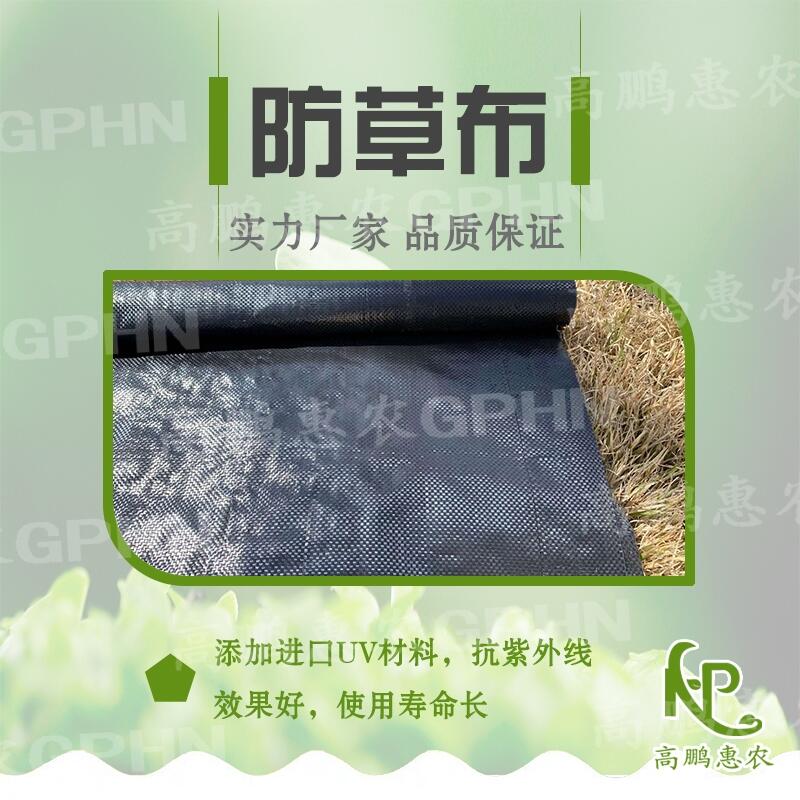 臍橙園藝地布使用效果好