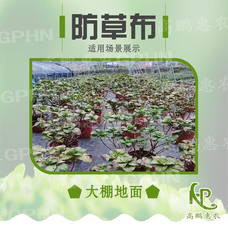 果樹防草布?jí)勖L(zhǎng)