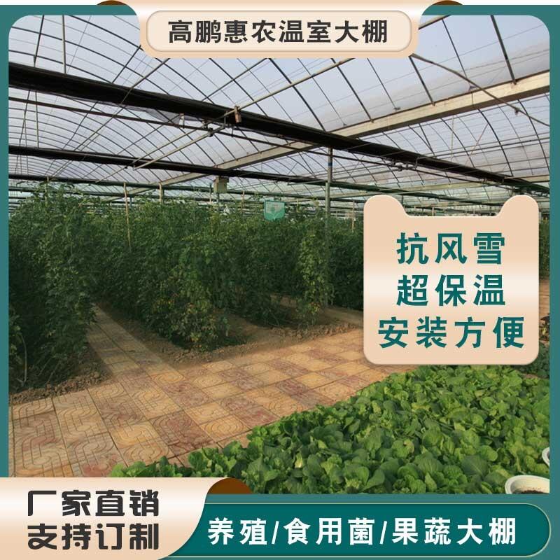 連云港東?？h香蕉大棚骨架棚膜配件