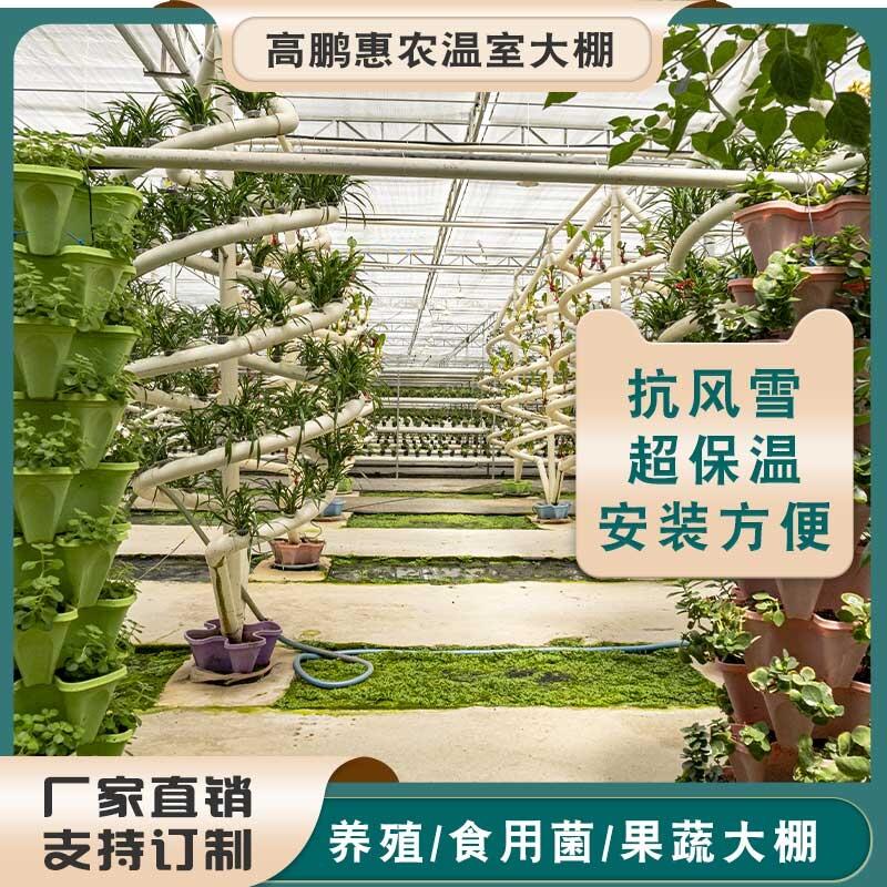 雅安雨城區(qū)櫻桃種植大棚量身設計