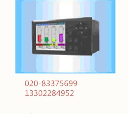 SWP-ASR304-1-0無(wú)紙記錄儀