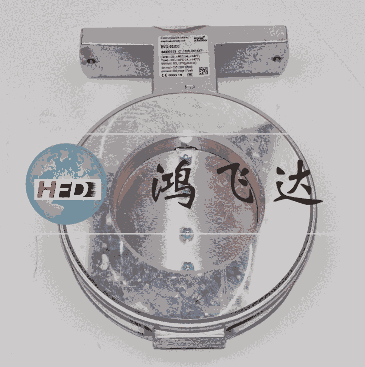 芯科技，芯創(chuàng)新；引燃燃燒器，ZMI25B600RZ，84099152