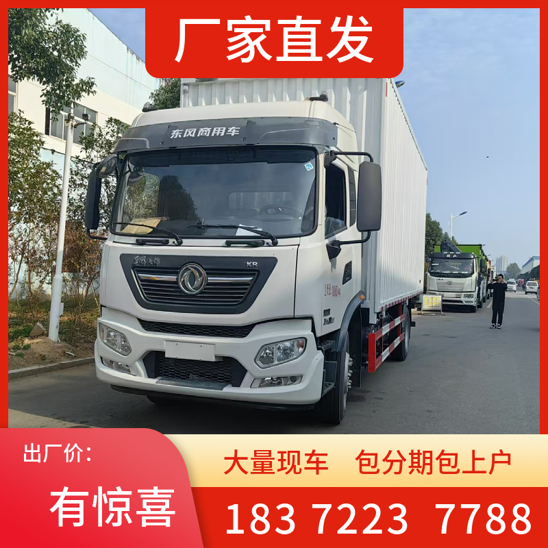 慶陽(yáng)市東風(fēng)D9國(guó)六6.6米翼開啟式危爆車