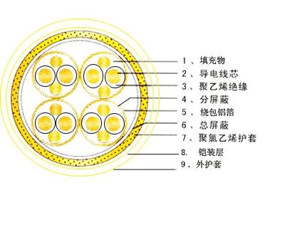 計(jì)算機(jī)屏蔽電纜-DJYPVP，DJYPV計(jì)算機(jī)屏蔽電纜-DJYPVP計(jì)算機(jī)屏蔽電纜-DJY