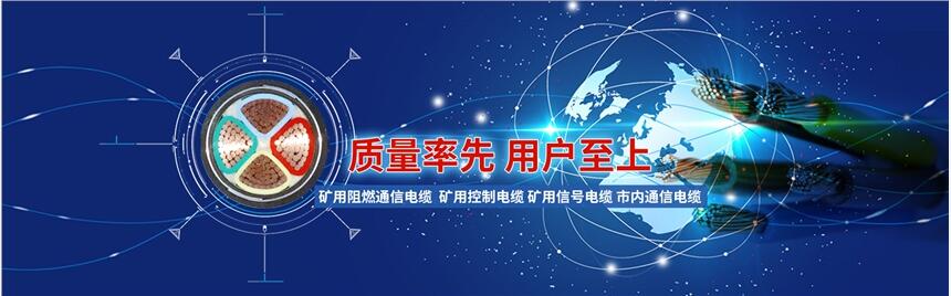 天津市天聯(lián)牌雙絞銅絲編織屏蔽電纜-天津市電纜總廠第一分廠