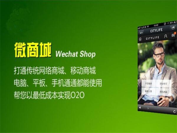 微商城開發(fā)企業(yè)，微商城運營推廣，推廣微商城