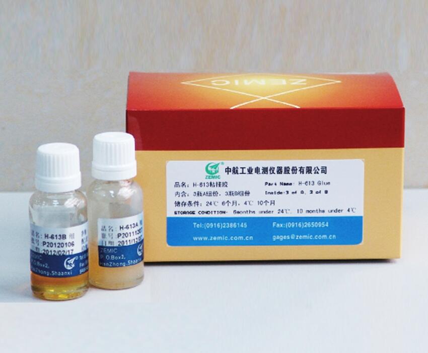 中航電測 H613膠水 應(yīng)變計(jì)黏貼專用膠水 現(xiàn)貨供應(yīng)