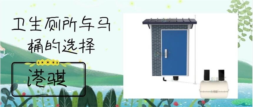 衛(wèi)生廁所與馬桶的選擇 農(nóng)村自建廁所設(shè)計(jì)圖-港騏