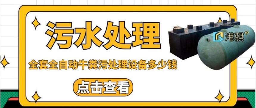 全套全自動(dòng)牛糞污處理設(shè)備多少錢(圖片價(jià)格品牌廠家)-港騏科技