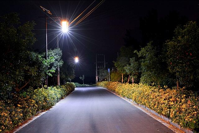 太陽能路燈裝飾農村道路亮化