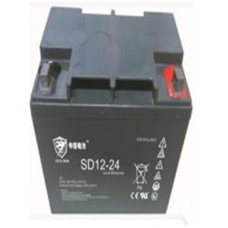 申盾SD12-24ups鉛酸蓄電池現(xiàn)貨申盾12V24AH規(guī)格齊全