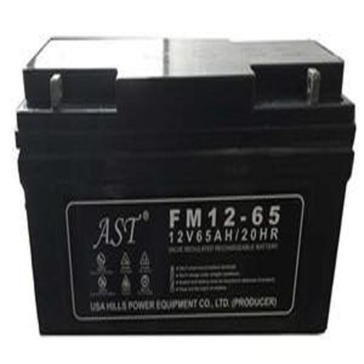 AST免維護(hù)蓄電池12V100AH型號FM12-100質(zhì)保