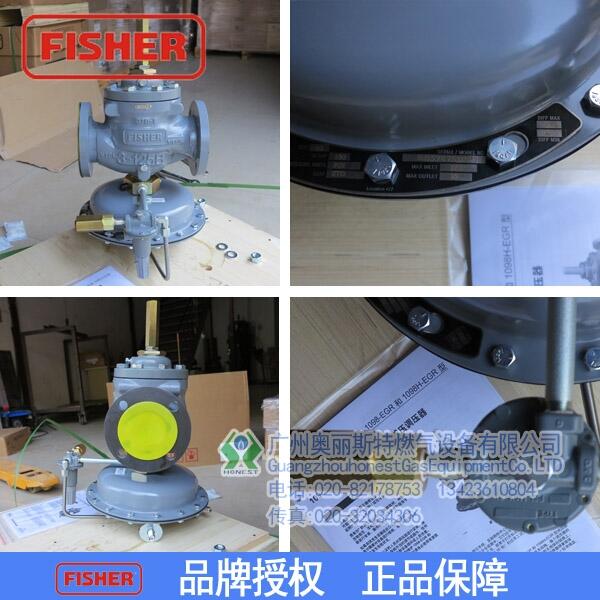 Fisher 1098-EGRpyI(y)偠t/۠t/t1098H-EGR {(dio)