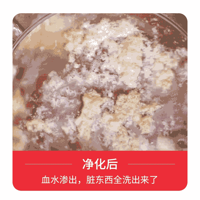 翼貓食材安全凈化機(jī)食材解毒機(jī)健宜生態(tài)儀洗菜機(jī)