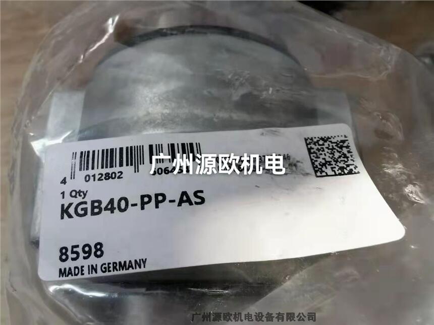 KGB20-PP-AS 廣州源歐機(jī)電 銷(xiāo)售原裝德國(guó)INA直線(xiàn)襯套