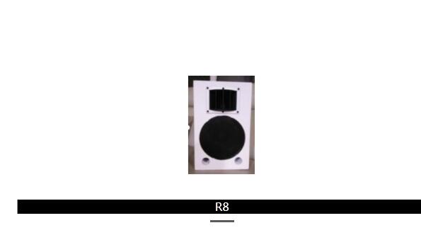 廣州浩韻8寸會議音箱：R8