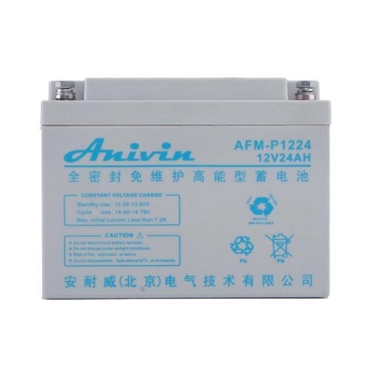 Anivin安耐威AFM-P1224鉛酸免維護蓄電池12V24AH