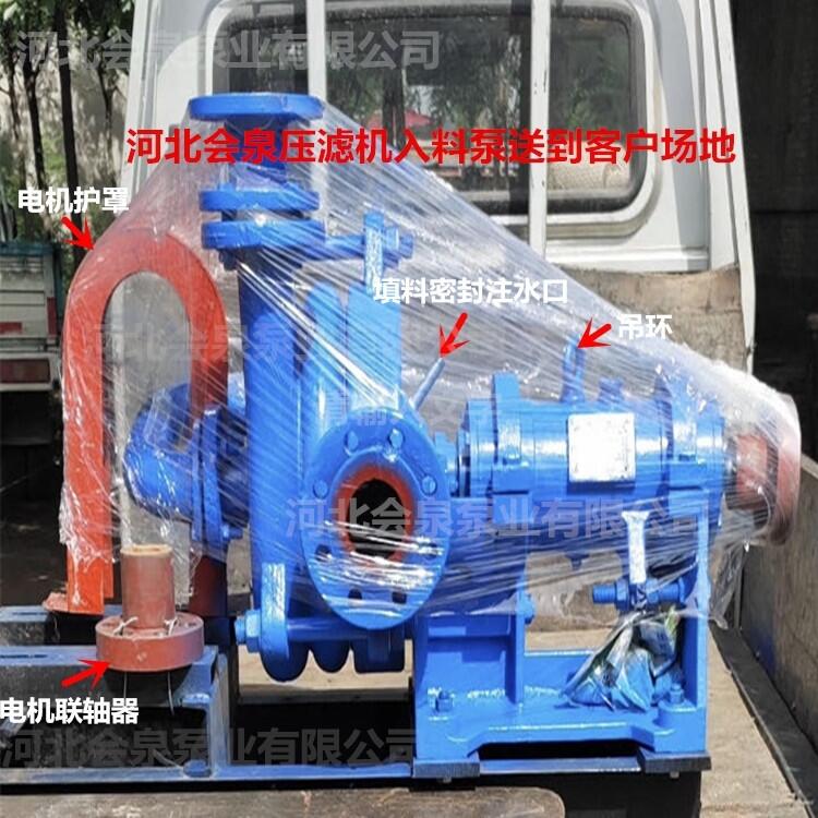 哪家專業(yè)65SYA75-30洗沙廢水處理泥漿泵泰順廠家