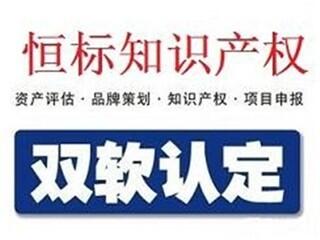 聊城雙軟認證去哪辦理，軟件企業(yè)認證需要什么材料