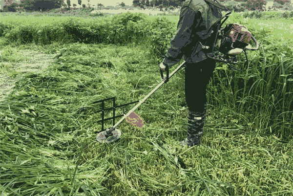 手推式小型割草機(jī)縮短工作時(shí)間