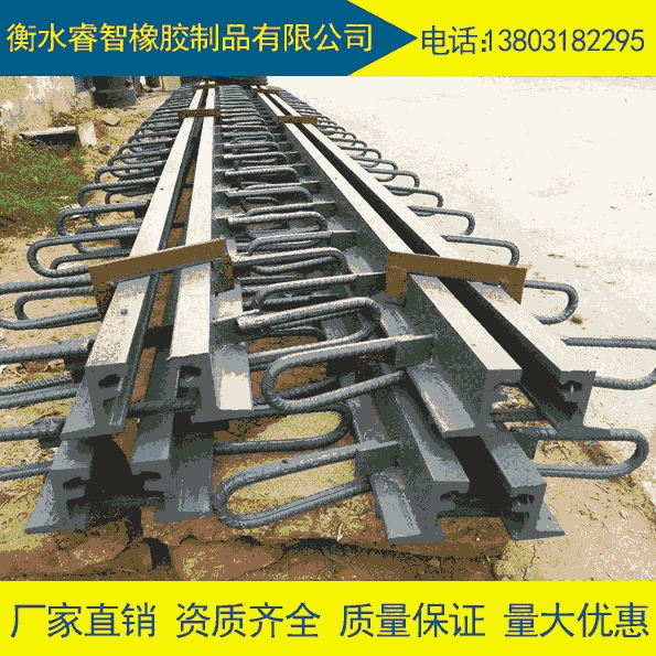 模數(shù)伸縮縫 MZL-160型橋梁模數(shù)式伸縮縫 公路伸縮裝置 睿智