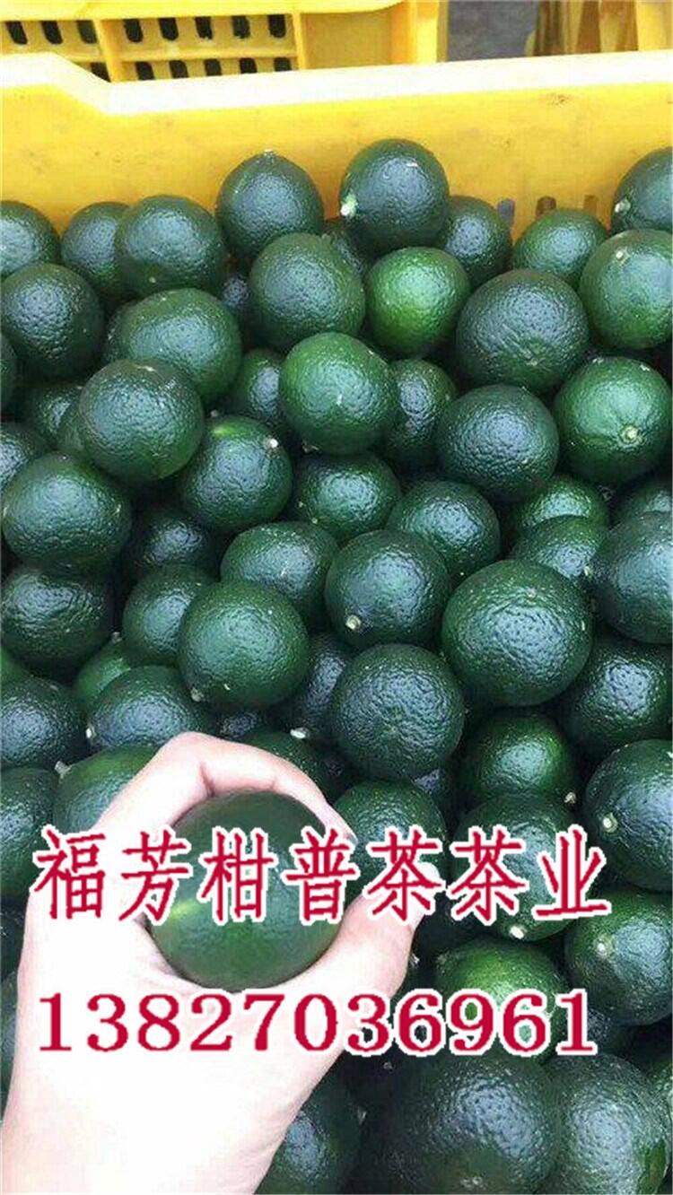 新會小青柑廠家定制批發(fā)_新會特產(chǎn)小青柑價格_御廣陳廠家批發(fā)零售