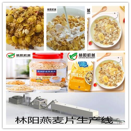 林陽水果燕麥片谷物脆生產(chǎn)線 水果燕麥片設備 谷物脆設備