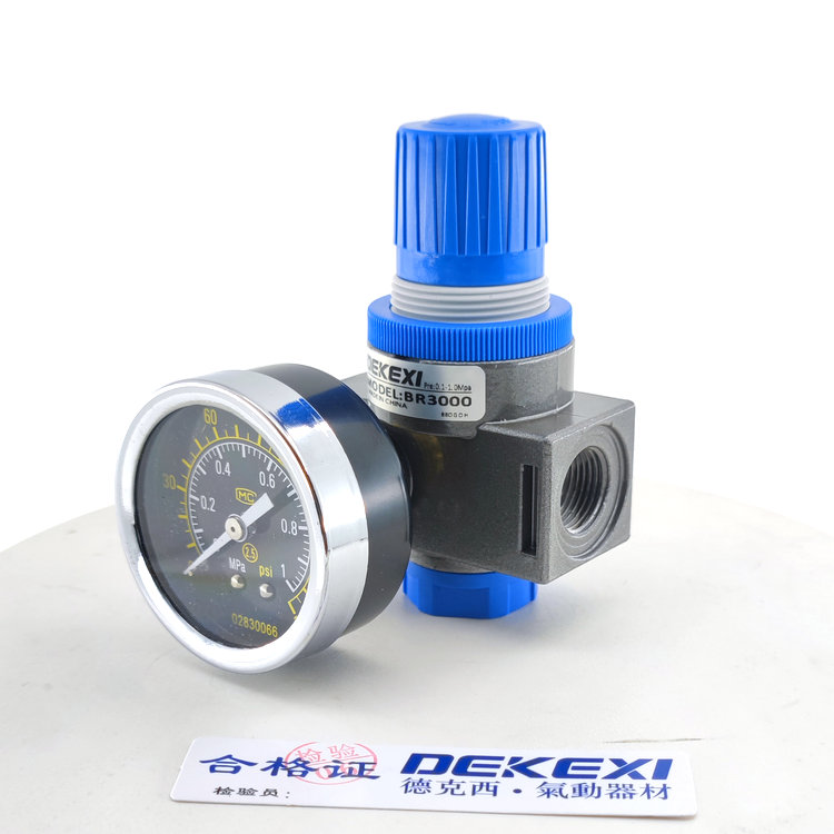 德克西DEKEXI氣缸LBR300減壓器,臺灣電磁閥,無桿機械手氣缸,新洋亞德客同款