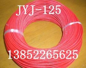 現(xiàn)貨供應(yīng)JYJ125 16mm2電機(jī)引接線