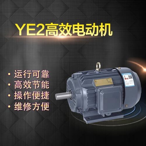 促銷優(yōu)質(zhì)上海左力電機(jī)YE2-132M2-6高性能三相異步電動(dòng)機(jī)5.5KW電機(jī) 修