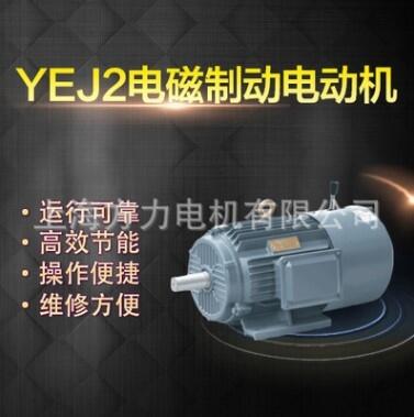 上海左力 YEJ制動電機(jī) YEJ132M2-6 (5.5kw)