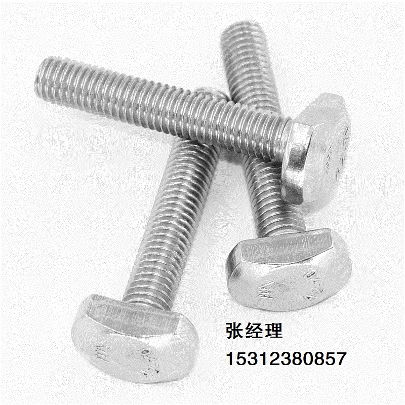 304不銹鋼T型螺栓