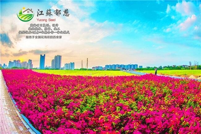 昌都市花海設(shè)計施工專業(yè)公司