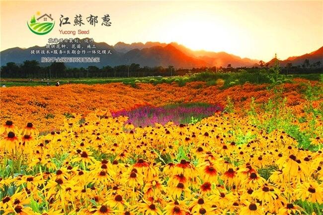 河北唐山市花海打造公司可行性方案