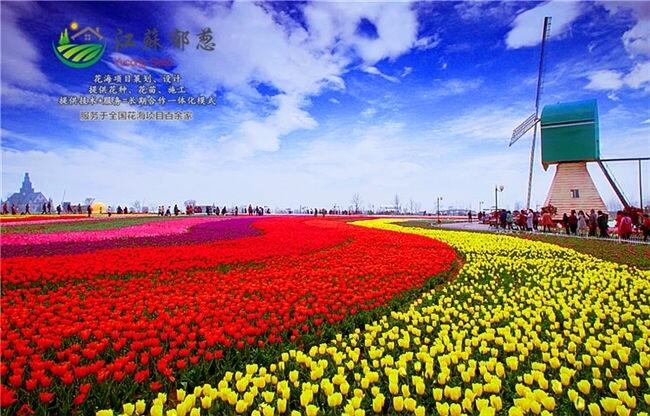 寧夏吳忠市花海基地承接打造