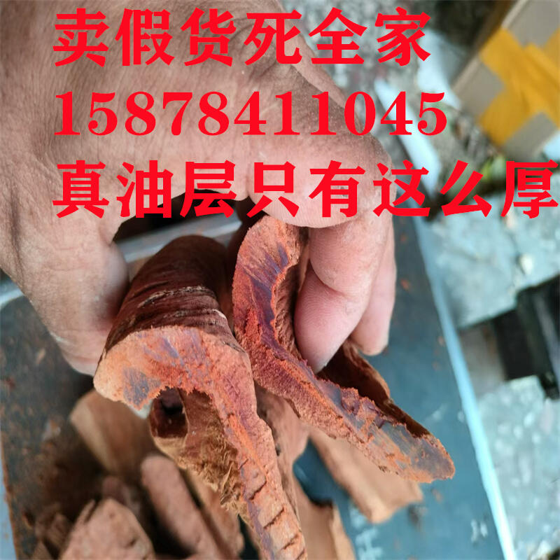 上海浦東新區(qū)紫油桂特厚肉桂