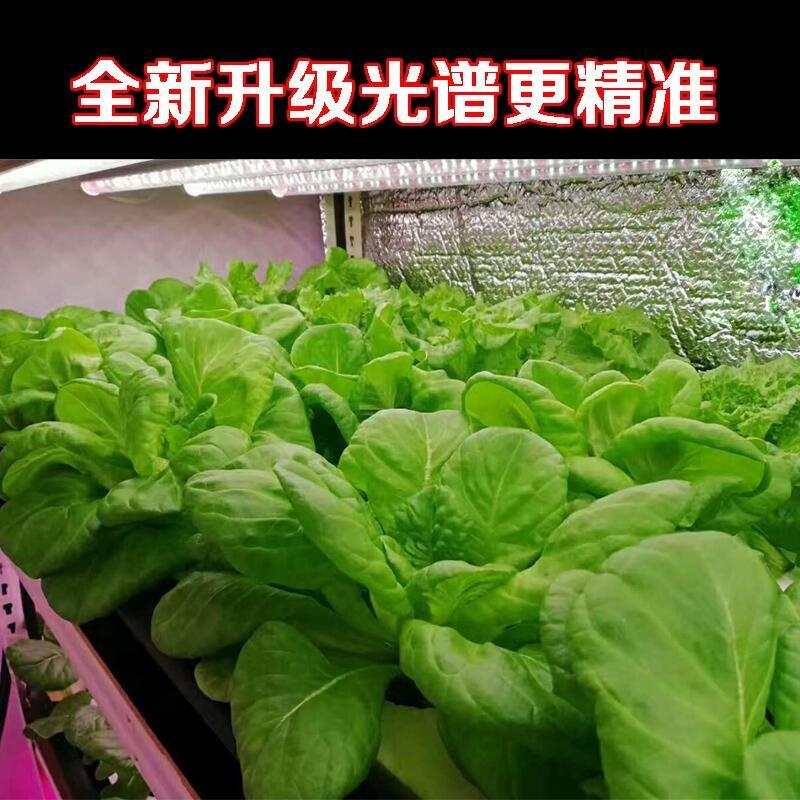 菏澤植物生長(zhǎng)燈廠家批發(fā)LED植物生長(zhǎng)燈 1.2米植物生長(zhǎng)燈管