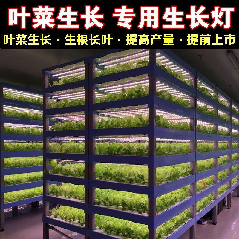 東營植物生長燈廠家批發(fā)LED植物生長燈 1.2米植物生長燈管