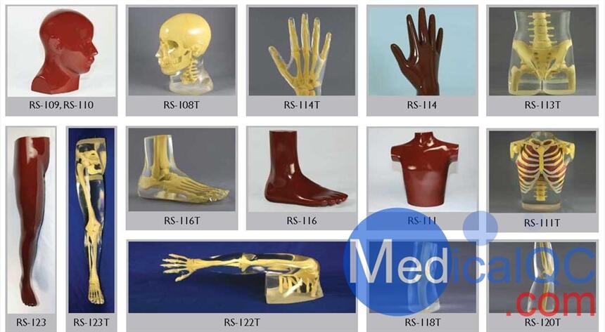 美國RSD人體部分模體，RSD RS-114T手臂模體,RSD RS-123T腿部模體