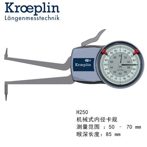 kroeplinC(j)еʽ(ni)yҎ(gu)H250