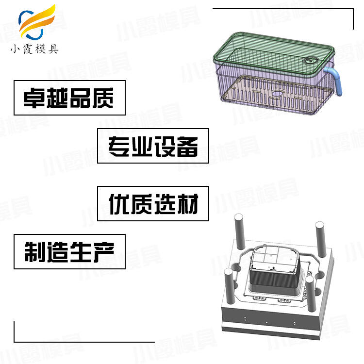 專業(yè)注塑pet透明模具廠