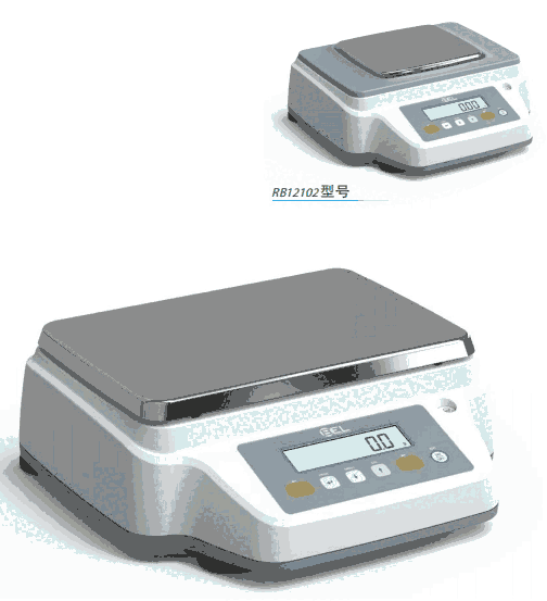 rb12102意大利bel高容量精密天平RB12102