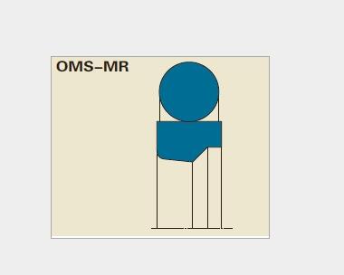 Merkel Omegat同軸密封圈 OMS-MR型